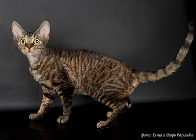 1920 X 1371 653.0 Kb  -  