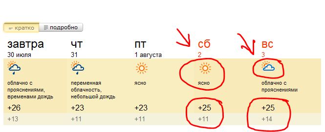 665 x 271 Макровылазки и околомакрушные разговоры