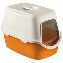 500 X 500 36.5 Kb Британская кошечка