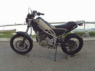 800 X 600  63.3 Kb    XG250