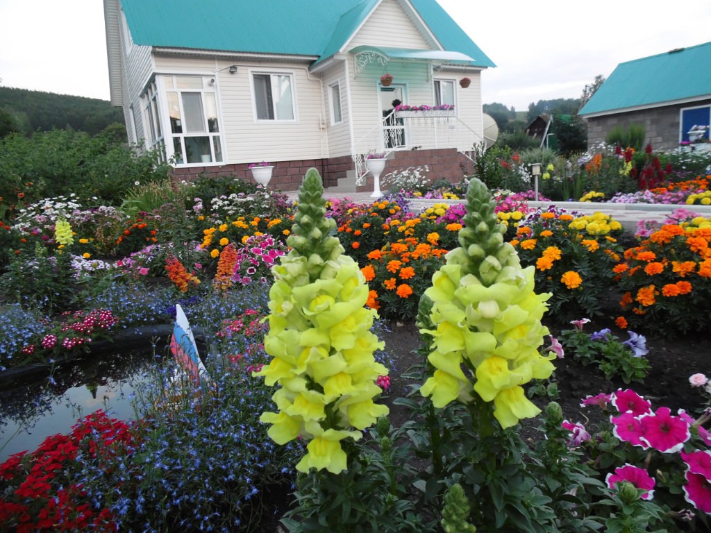 Айгуль Гафарова цветовод