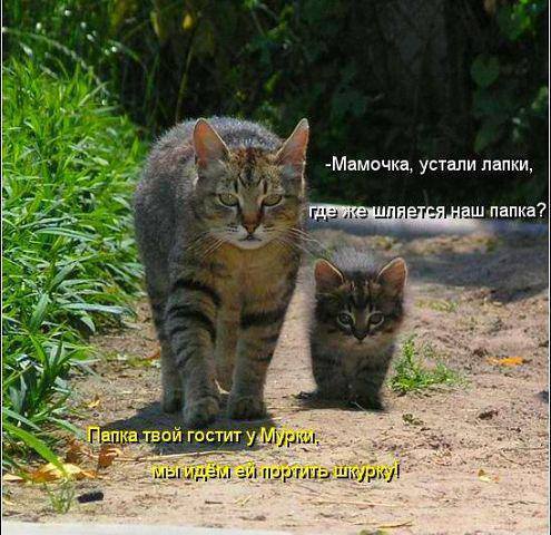 495 x 480 488 x 480 399 x 480 Улыбнемся?