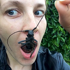 960 X 960 237.8 Kb  ? :)