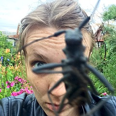 960 X 960 332.8 Kb  ? :)