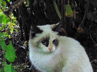 1024 X 768 347.7 Kb 1024 X 768 368.2 Kb -