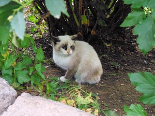 1024 X 768 369.2 Kb 1024 X 768 347.7 Kb 1024 X 768 368.2 Kb -