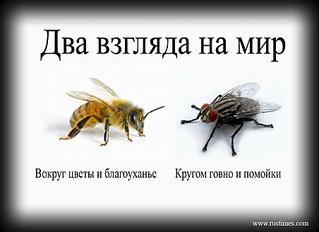 903 X 657  47.5 Kb Ижевск против беспредела Агашинской команды.