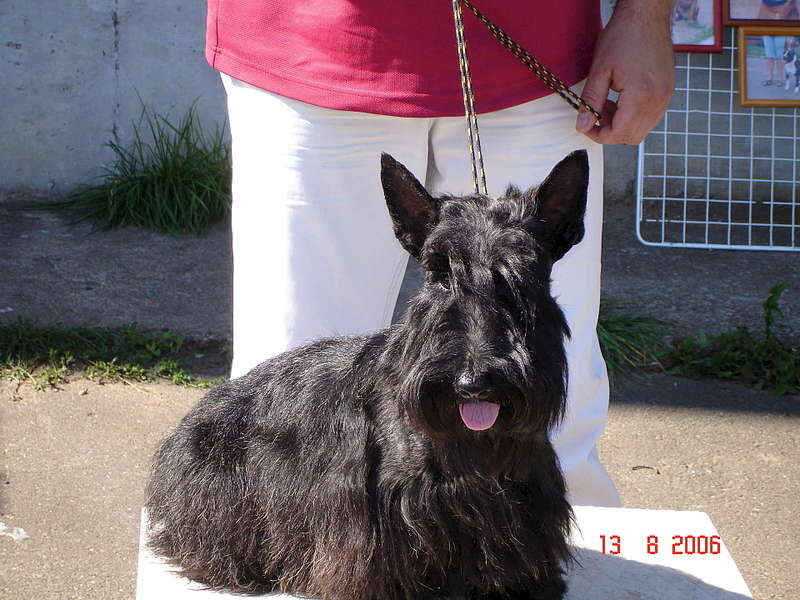 1920 X 1440 303.4 Kb   .