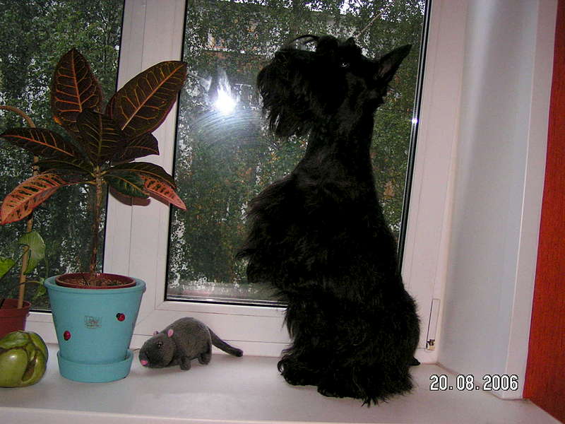 1920 X 1440 242.5 Kb 1920 X 1440 303.4 Kb   .