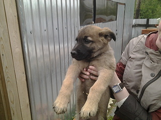 1920 X 1440 731.2 Kb -