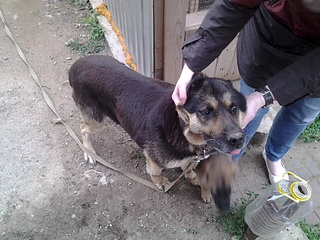 1920 X 1440 983.8 Kb 1920 X 1440 731.2 Kb -