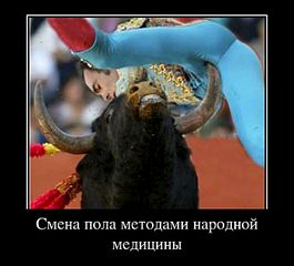 700 X 633 44.6 Kb Опель-клуб