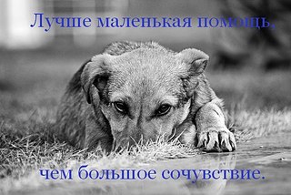 604 X 404 60.4 Kb 604 X 362 36.2 Kb 604 X 362 30.3 Kb 200 x 133 ,     