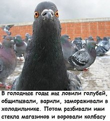 384 X 419  42.4 Kb |||     
