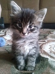 768 X 1024 135.8 Kb 768 X 1024 118.4 Kb 510 X 383  34.2 Kb 510 X 383  32.5 Kb    -  !