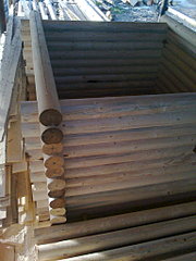 1536 X 2048 590.8 Kb 1536 X 2048 510.5 Kb    