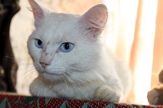 900 X 600 176.6 Kb 900 X 600 198.8 Kb 900 X 600 184.6 Kb        !