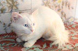 900 X 600 229.3 Kb 900 X 600 176.6 Kb 900 X 600 198.8 Kb 900 X 600 184.6 Kb        !