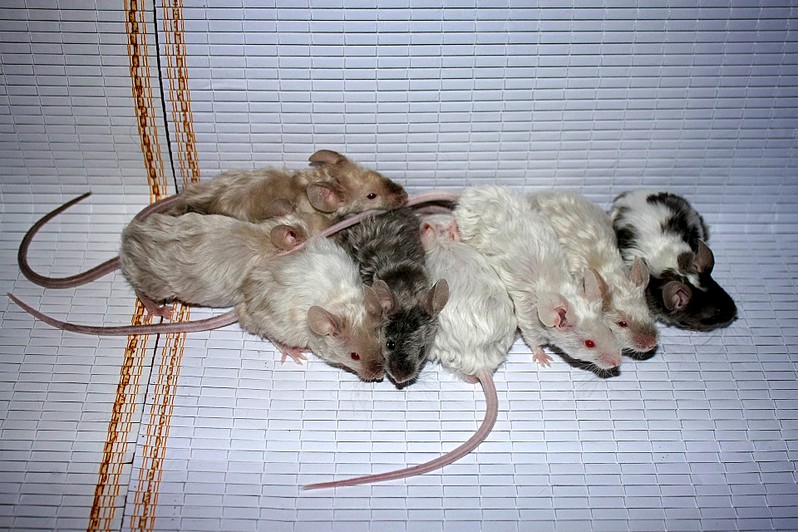 1920 X 1279 542.8 Kb - -  