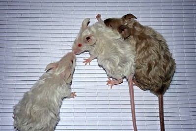 1920 X 1279 482.6 Kb 1920 X 1279 424.0 Kb - -  