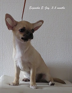 1265 X 1625 644.2 Kb 1465 X 2017 828.7 Kb   E-Jay