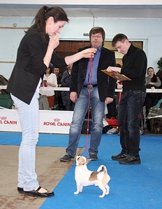 388 X 500 124.3 Kb   E-Jay