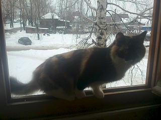 1920 X 1440 665.4 Kb 1920 X 1440 591.7 Kb 1536 X 2048 906.8 Kb Help! Sos!