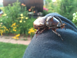 1920 X 1440 333.0 Kb Эхо Чернобыля? :)