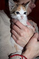 402 X 604 52.9 Kb  .   .