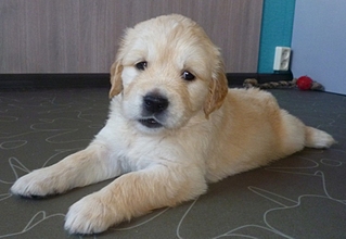 800 X 551 184.9 Kb 600 X 710 165.9 Kb   