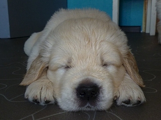 800 X 599 215.9 Kb 800 X 551 184.9 Kb 600 X 710 165.9 Kb   