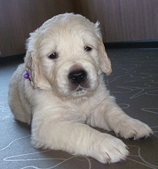 600 X 640 210.2 Kb 600 X 749 241.5 Kb 800 X 599 215.9 Kb 800 X 551 184.9 Kb 600 X 710 165.9 Kb   