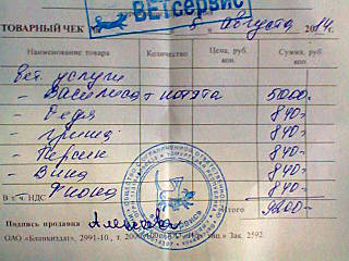 640 X 480 64.8 Kb Кошки в стационаре Ветсервиса. Нужна материальная помощь!
