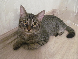 1600 X 1200 232.4 Kb   ,  6   59