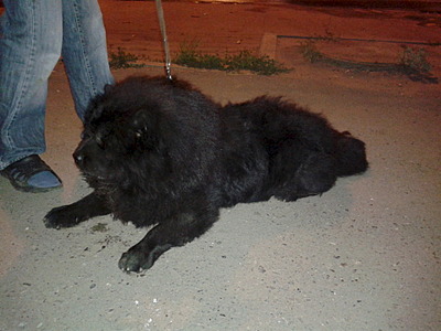 1920 X 1440 548.5 Kb    -  