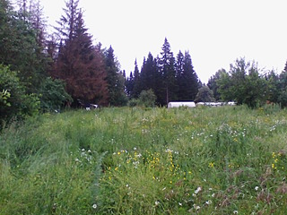 1600 X 1200 295.4 Kb 1600 X 1200 311.3 Kb 1600 X 1200 306.4 Kb 1600 X 1200 320.9 Kb 1600 X 1200 299.3 Kb   14 .,  (), 12   