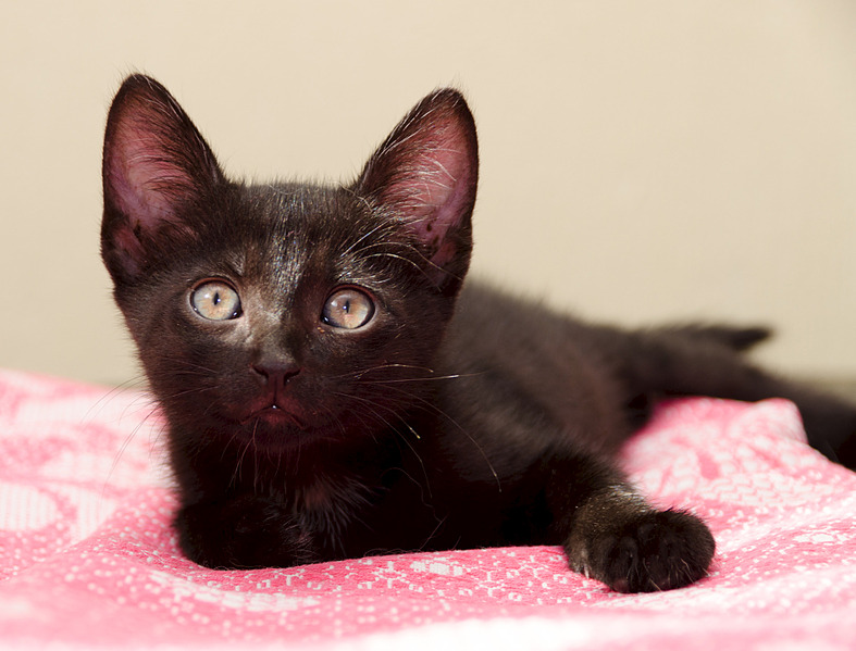 1920 X 1462 451.3 Kb  -  ,   !