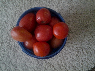 1920 X 1440 799.1 Kb    