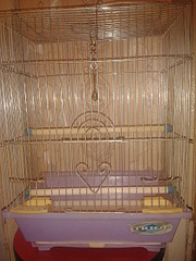 1920 X 2560 464.7 Kb    