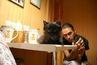 604 X 403 40.7 Kb 604 X 403 38.9 Kb 604 X 272 33.4 Kb 604 X 403 63.0 Kb 604 X 403 52.3 Kb Маленькие хорошие котятки ищут дом!