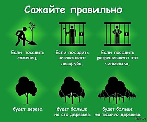 600 X 499  66.0 Kb Ижевск против беспредела Агашинской команды.