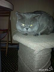 360 X 480  21.2 Kb 269 X 480  16.6 Kb 1920 X 1440 325.5 Kb ,      