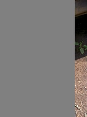 1920 X 2570 311.0 Kb 1920 X 1434 760.2 Kb R16 Литье с резиной на НИВУ, УАЗ