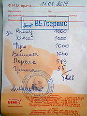 480 X 640 62.9 Kb Кошки в стационаре Ветсервиса. Нужна материальная помощь!