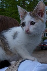 680 X 1024 105.6 Kb -   !