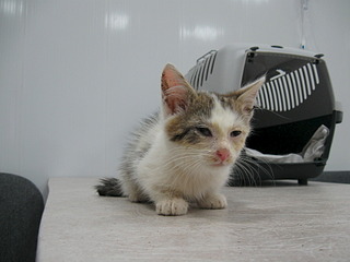 1920 X 1440 489.4 Kb -   !