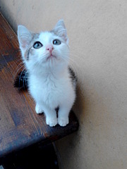 1920 X 2560 562.0 Kb 680 X 1024  84.1 Kb 1920 X 1440 489.4 Kb -   !