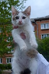 680 X 1024 102.5 Kb -   !