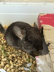 1920 X 2560 788.5 Kb 1920 X 2560 730.0 Kb  