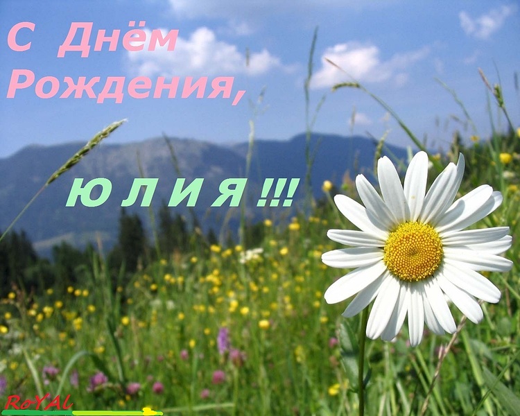 1280 X 1024 286.9 Kb      